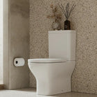 Ashford Standard Height Close-Coupled Toilet