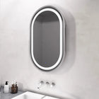 Alani Oval Mirror with Lights