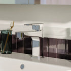 Basin Mono Mixer Tap with Waste Virgo