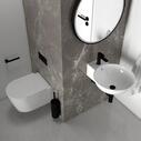 white basin and pedestal basin with toilet