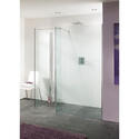 Palma Walk In Shower Glass Panels for Contemporary Bathroom