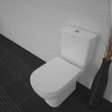 White Curved Edge Cistern and Pan with Soft Close Seat with Chrome Flush Button  