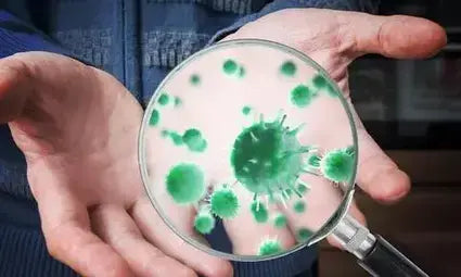 Germs In Your Bathroom