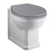Fitzroy back to wall pan in comfort height, traditional styling with raised seat for easier sitting and standing