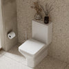 Ashford Standard Height Close-Coupled Toilet