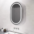 Alani Oval Mirror with Lights