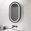 Alani Oval Mirror with Lights