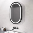 Alani Oval Mirror with Lights