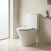 Carolina Open Back Rimless Close Coupled Toilet