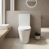 Carolina Open Back Rimless Close Coupled Toilet