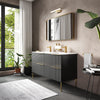 Elvia 1200mm Black Double Vanity Unit