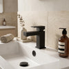 Mini Basin Mono Mixer Tap with Waste Slade