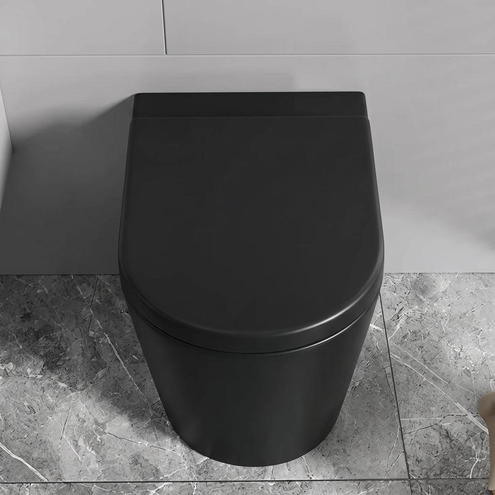 Alessio Matt Black Back to Wall Toilet Pan with Seat