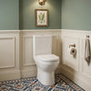Charlie Comfort Height Rimless Close Coupled Toilet