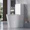 Carolina Comfort Height Fully Enclosed Toilet