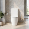 Carolina Comfort Height Fully Enclosed Toilet