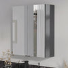 Oliver Mirror Cabinet 2-Door Complete 600mm Anthracite