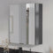 Oliver Mirror Cabinet 2-Door Complete 600mm Anthracite