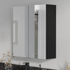 Oliver Mirror Cabinet 2-Door 600mm Matt Black