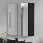 Oliver Mirror Cabinet 2-Door 600mm Matt Black
