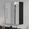 Oliver Mirror Cabinet 2-Door 600mm Matt Black