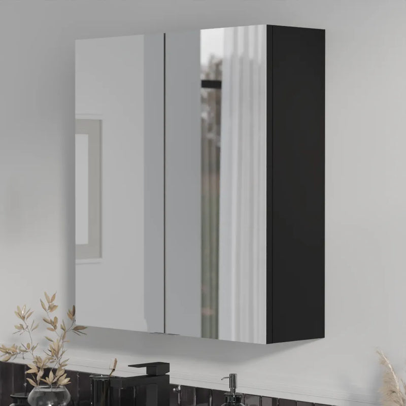 Oliver Mirror Cabinet 2-Door 600mm Matt Black