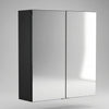 Oliver Mirror Cabinet 2-Door 600mm Matt Black
