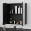 Oliver Mirror Cabinet 2-Door 600mm Matt Black