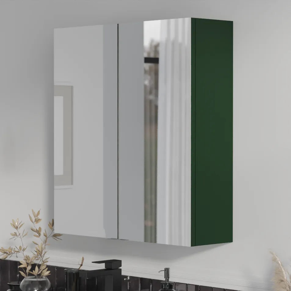 Oliver Mirror Cabinet 2-Door 600mm Matt Green