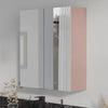 Oliver Mirror Cabinet 2-Door 600mm Matt Pink Shaker