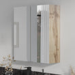 Oliver Mirror Cabinet 2-Door 600mm Oak