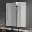 Oliver Mirror Cabinet 2-Door 600mm Matt White Shaker