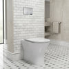 Form Rimless Back To Wall Toilet