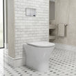 Form Rimless Back To Wall Toilet