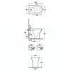 Form Rimless Back To Wall Toilet