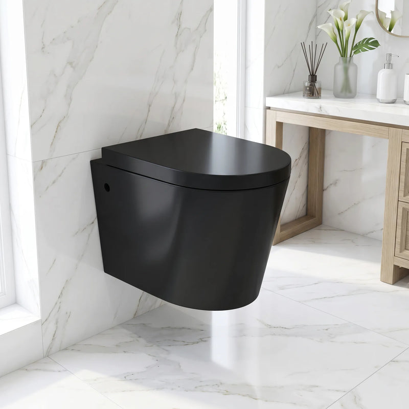 Alessio Wall Hung Toilet Matt Black