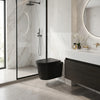 Alessio Wall Hung Toilet Matt Black