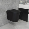 Alessio Wall Hung Toilet Matt Black