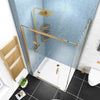 Havana 1200mm Shower Door
