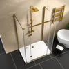 Havana 1300mm Shower Door