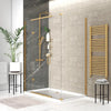 Havana 1600mm Shower Door