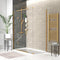 Havana 1600mm Shower Door