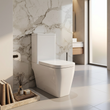 Laverne Rimless Close Coupled Toilet