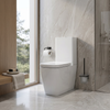 Laverne Rimless Close Coupled Toilet
