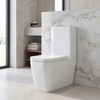 Laverne Rimless Close Coupled Toilet