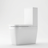 Laverne Rimless Close Coupled Toilet