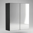Oliver Mirror Cabinet 2-Door 600mm Matt Black