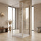 900 x 1900 Pivot Door Radiant