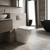 Qube Back To Wall Toilet