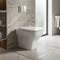 Qube Back To Wall Toilet